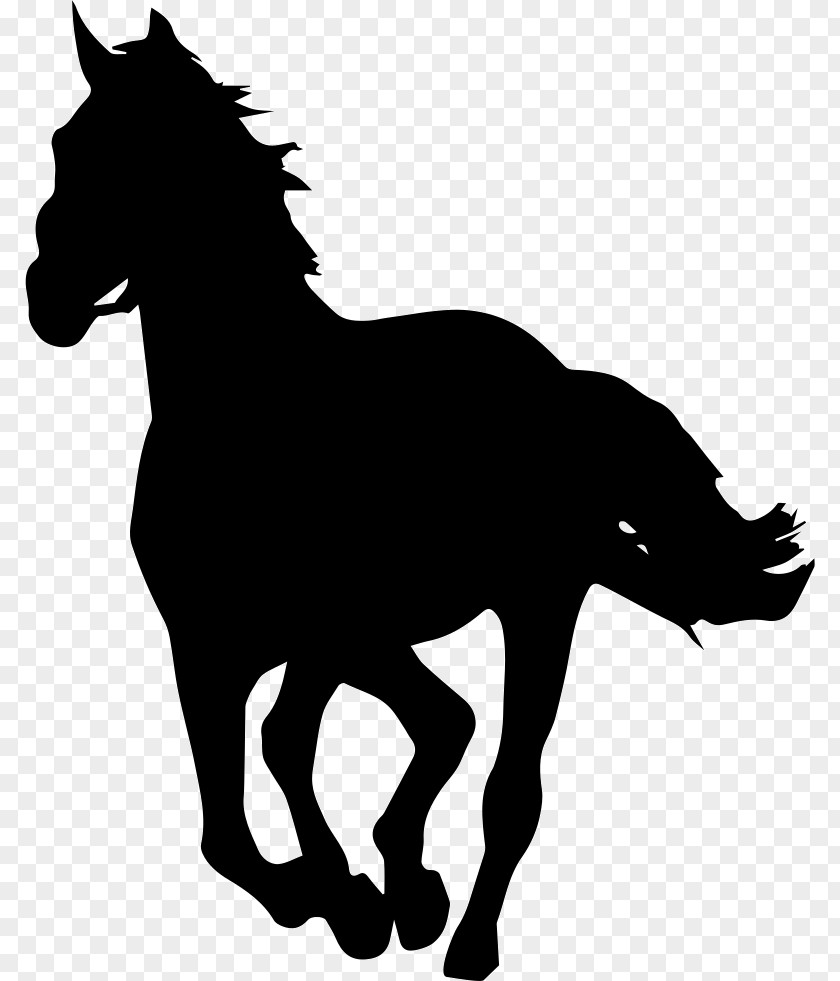 Horse Silhouette Stallion Clip Art PNG