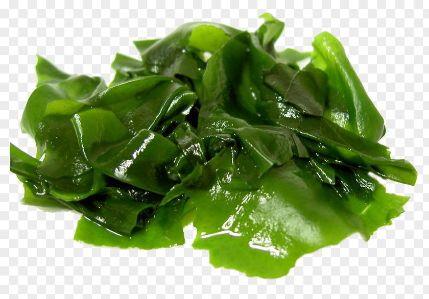 Vegetable Wakame Edible Seaweed Food Kelp PNG