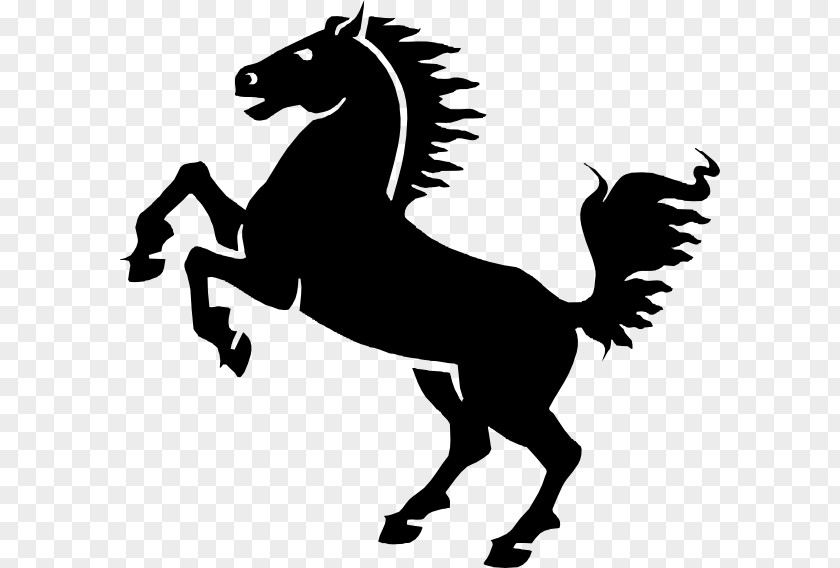 Dark Horse Mustang Friesian Foal Mare Clip Art PNG