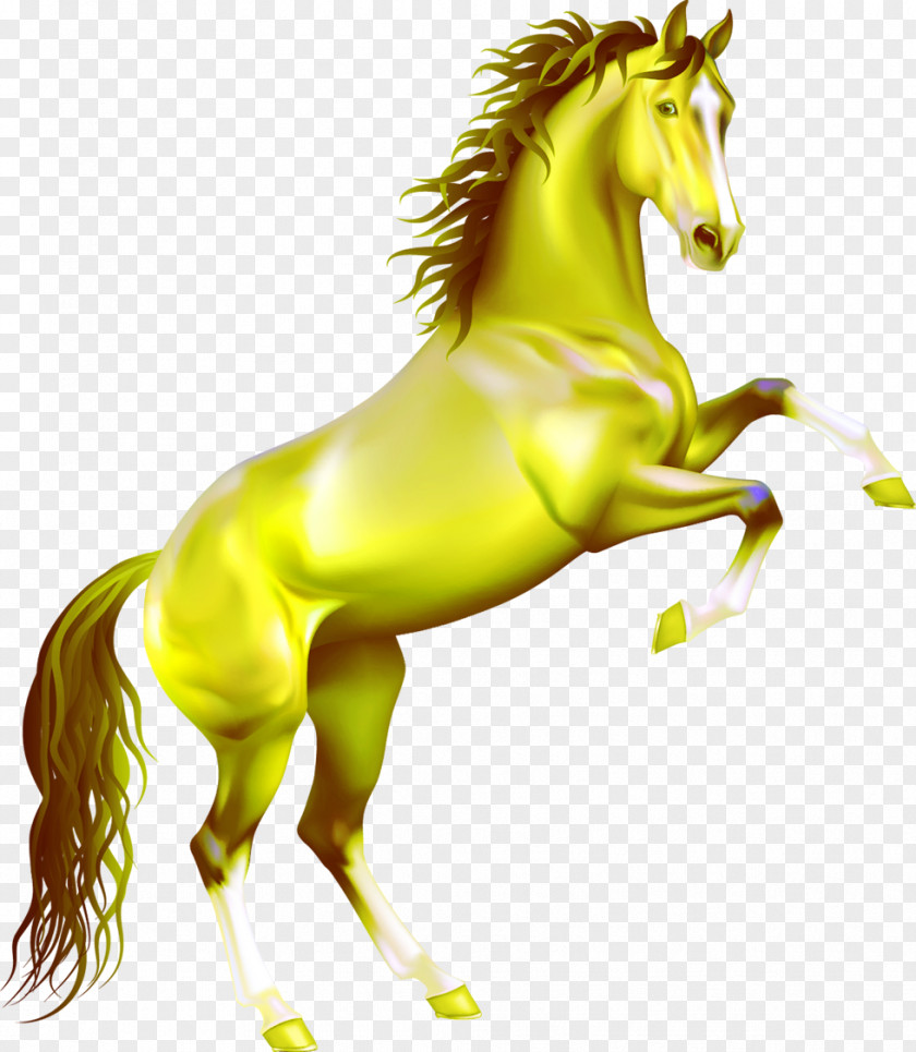 Golden Horse Arabian Mustang Stallion Rearing Clip Art PNG