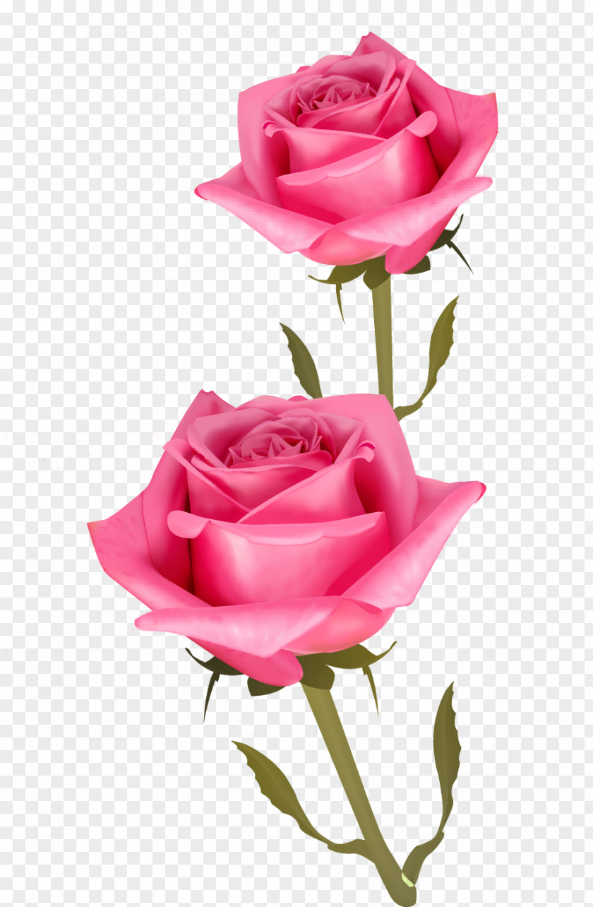 Hand Drawn Flowers Cut Pink PNG