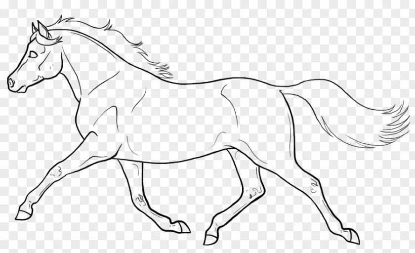 Howrse Welsh Pony And Cob Mule Line Art Mountain PNG