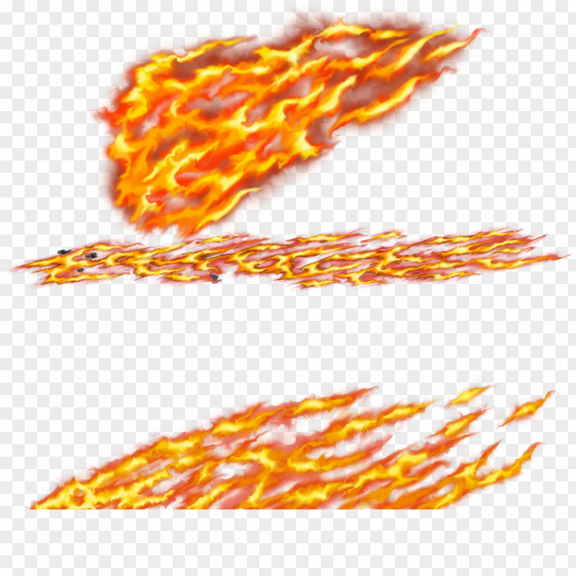 The Flames Of Fire Burned Warmly Flame Combustion Light PNG