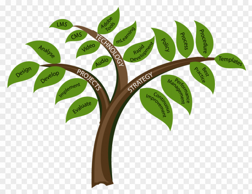 Tree Outlines Twig Clip Art PNG