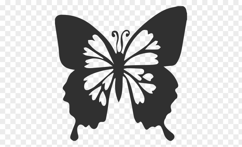 Ulysses Vector Butterfly Illustration PNG