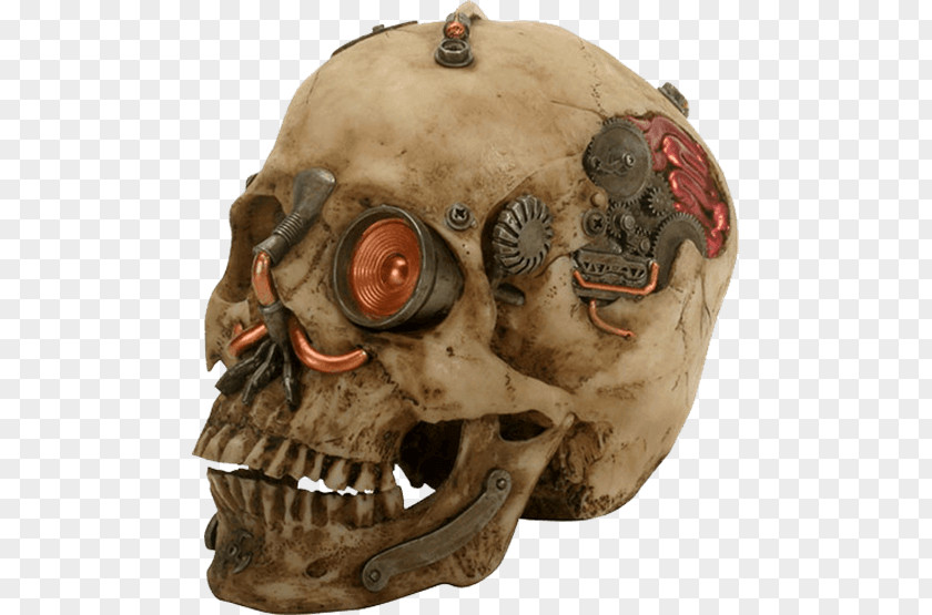 Viking Skull Human Skeleton Machine Robot PNG