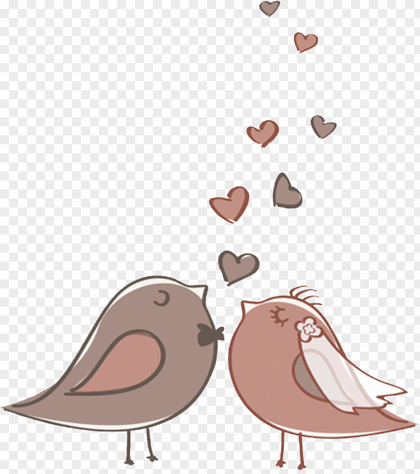 Beak Rock Dove Cartoon Pink Pigeons And Doves Bird Footwear PNG