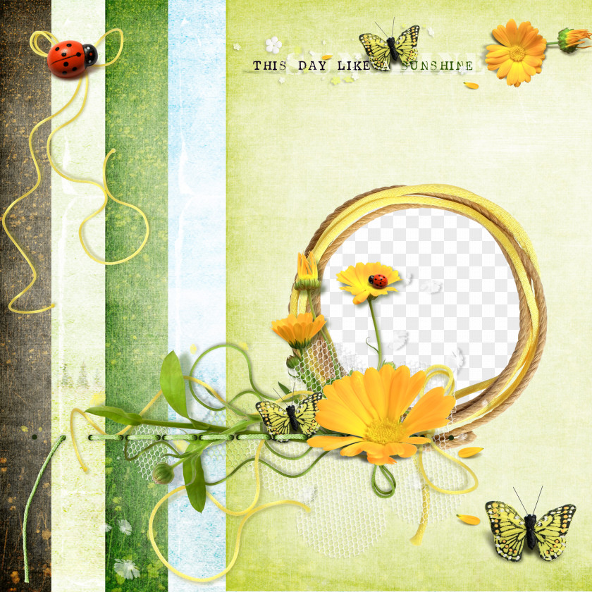 Flowers And Butterflies Ladybug Picture Frame Butterfly Drawing PNG