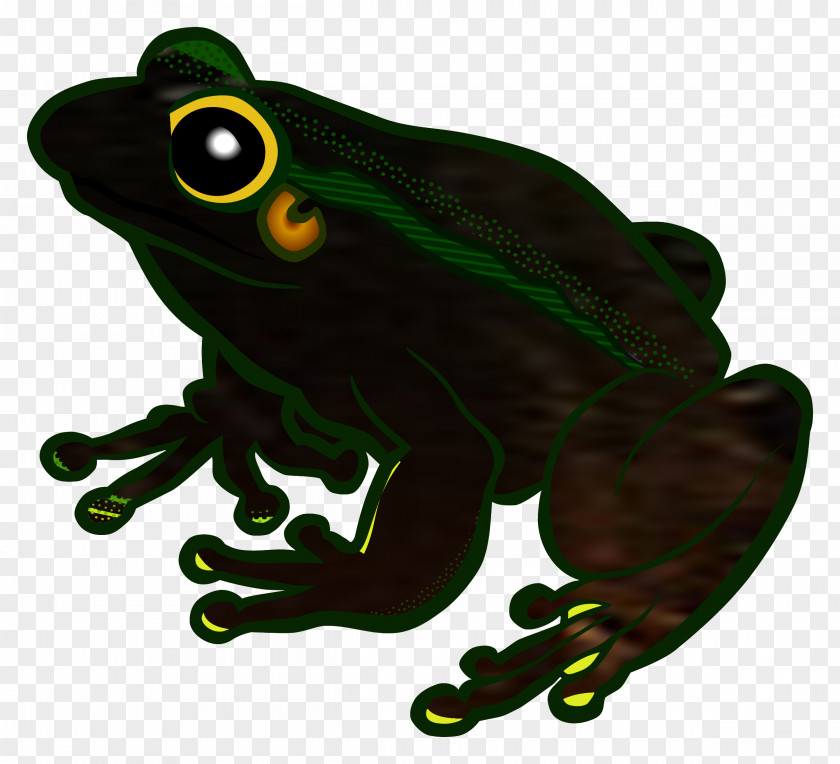 Frog Clip Art Vector Graphics Free Content PNG