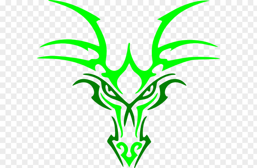 Green Dragon Celtic Knot Celts Ornament PNG