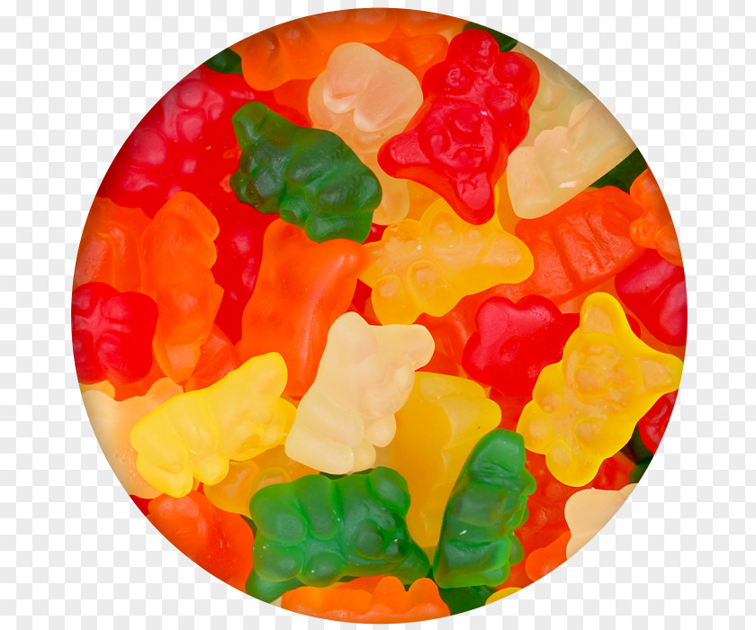 Gummy Bears Bear Gummi Candy Jelly Babies Gumdrop PNG
