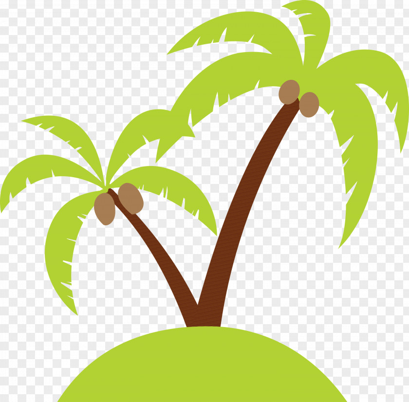 Palm Trees PNG