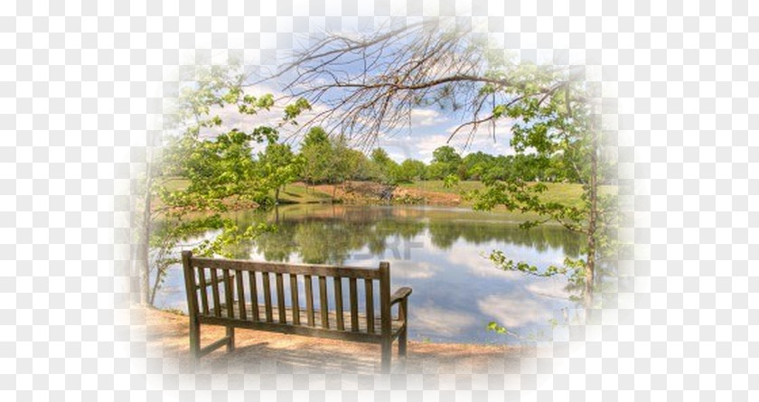 Park Bench Landscape Clip Art PNG