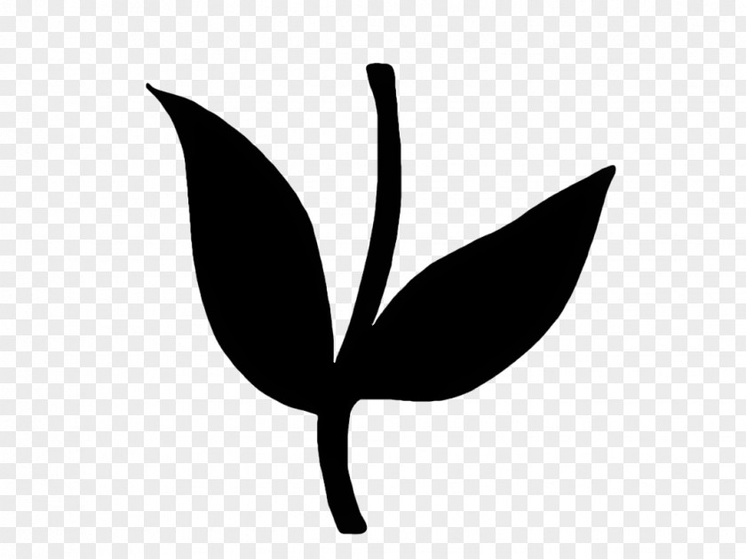 Plant Stem Monochrome Photography Leaf White Black Black-and-white Logo PNG