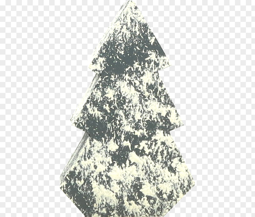 Snow Trees Christmas Tree Pine Family PNG