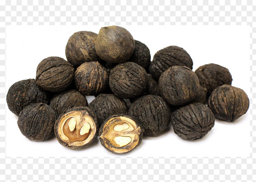 Walnut Eastern Black English Protein PNG