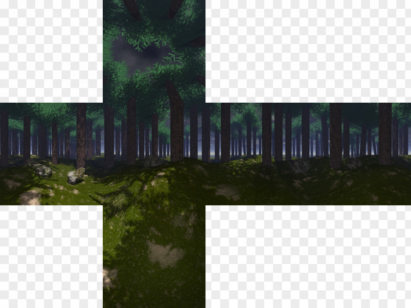 Forrest Sven Co-op Skybox Forest Texture Mapping PNG