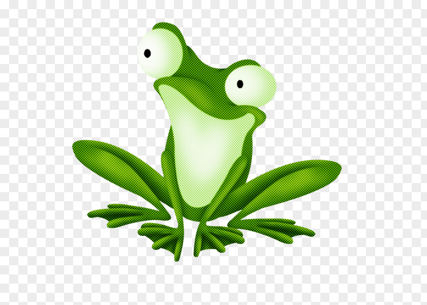 Frog Green Tree True PNG