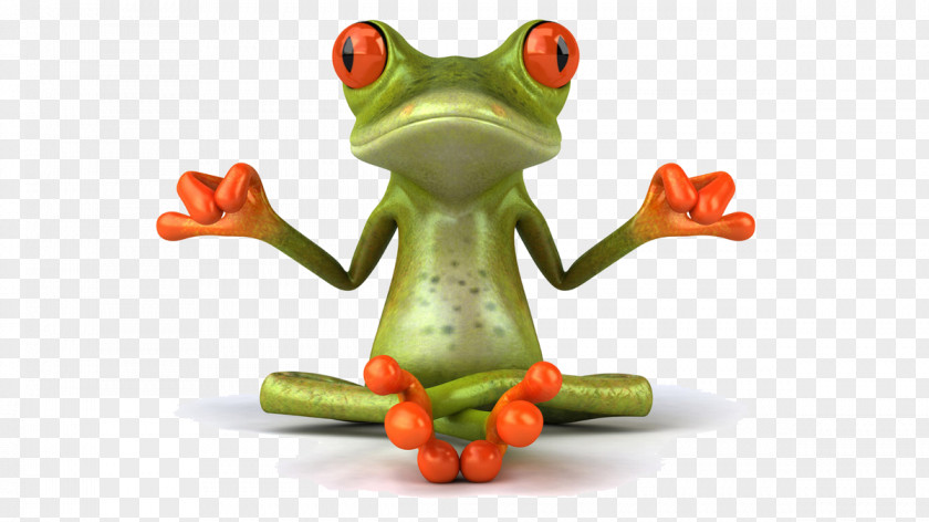 Frog Zen Meditation Lithobates Clamitans PNG