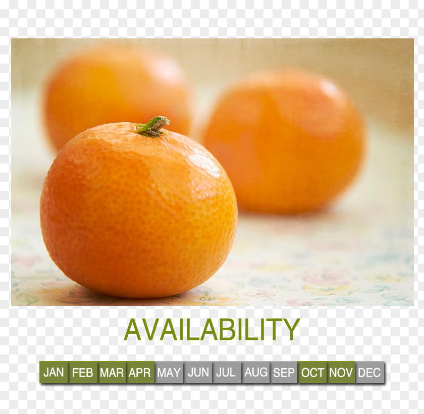 Fruit Wholesale Market Tangerine Mandarin Orange Food Mango PNG
