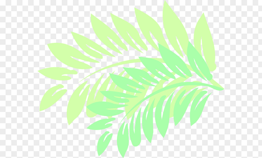 Leaf Hawaiian Hibiscus Plant Stem Computer Mouse PNG
