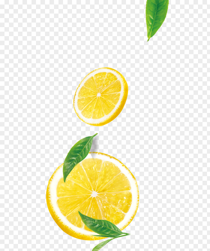 Lemon And Tea PNG