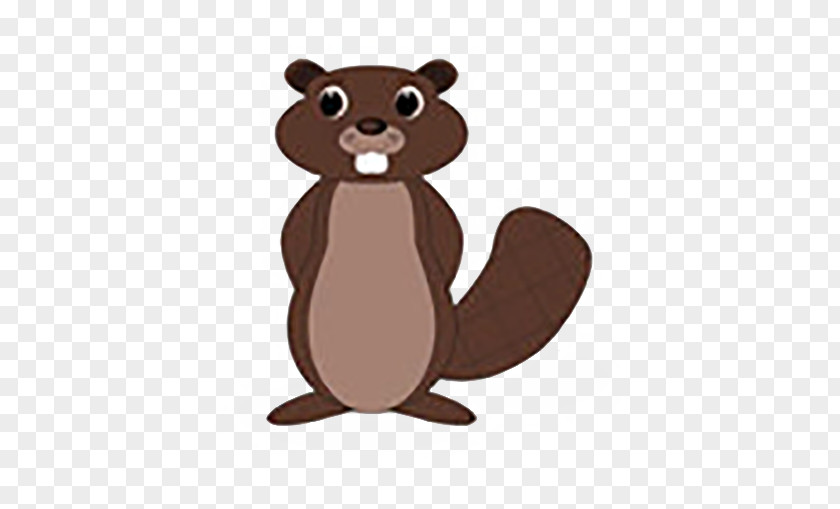 Meng Beaver Rodent Illustration PNG