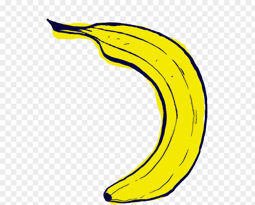 Yellow Banana Line Plant Family PNG