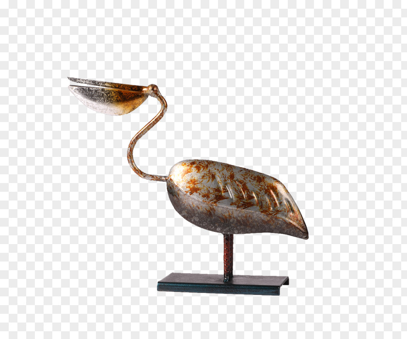 Baby Pelican Decorative Arts PNG