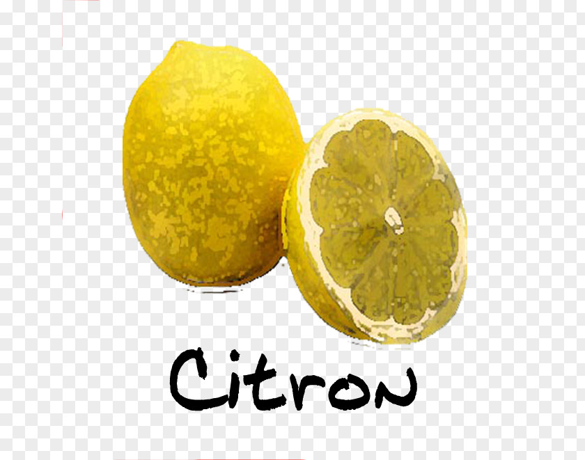 Citron Lemon Sorbet Menton Lime Ice Cream PNG