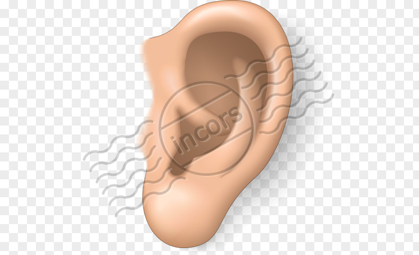 Ears Ear Clip Art PNG