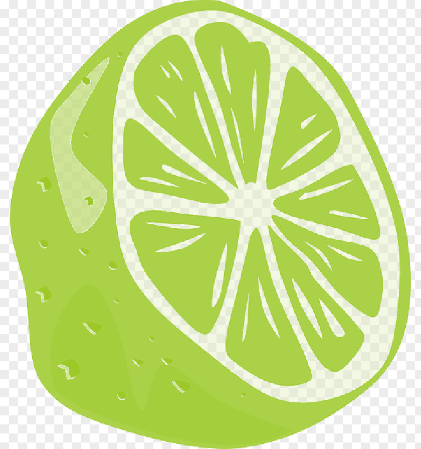 Green Food Clip Art Vector Graphics Key Lime PNG