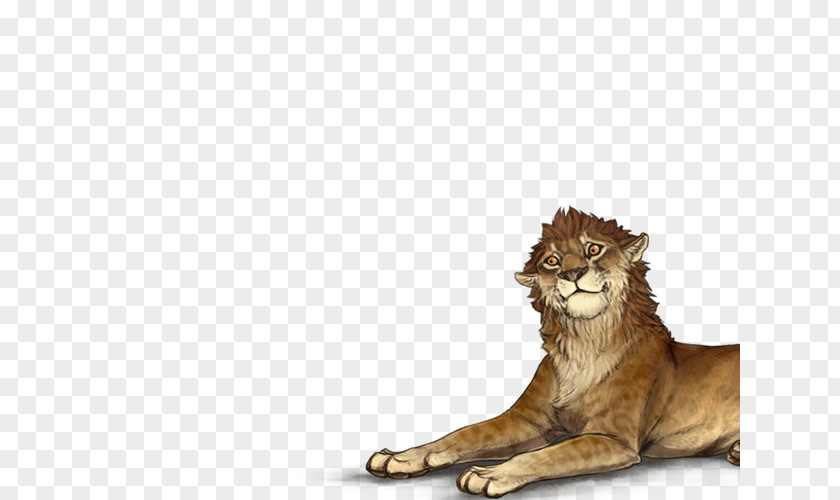Lion Whiskers Cat Felidae Tiger PNG
