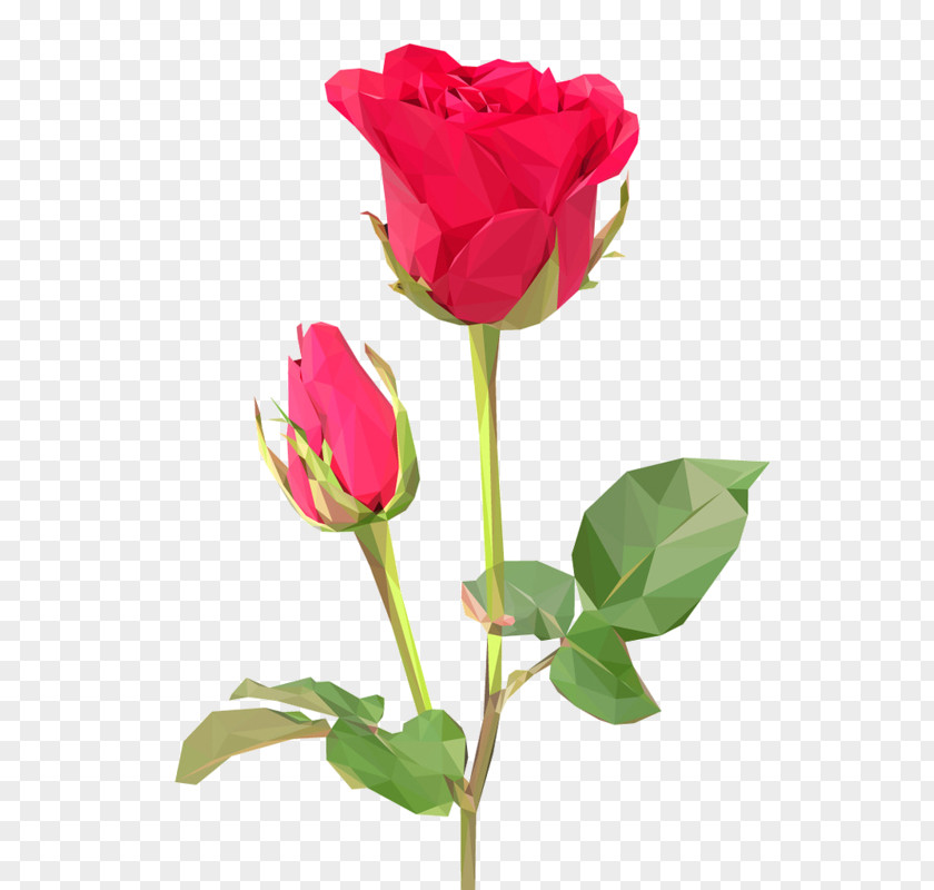 Rose Flower Bouquet Desktop Wallpaper Stock Photography PNG