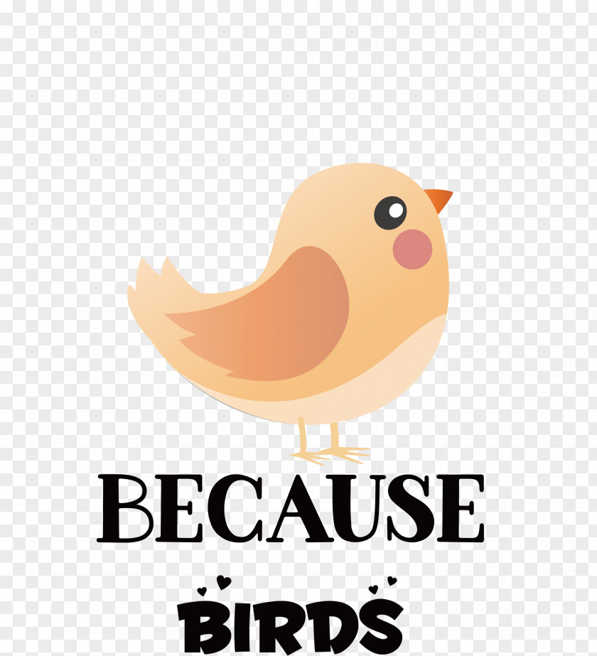 Because Birds Bird Animal PNG