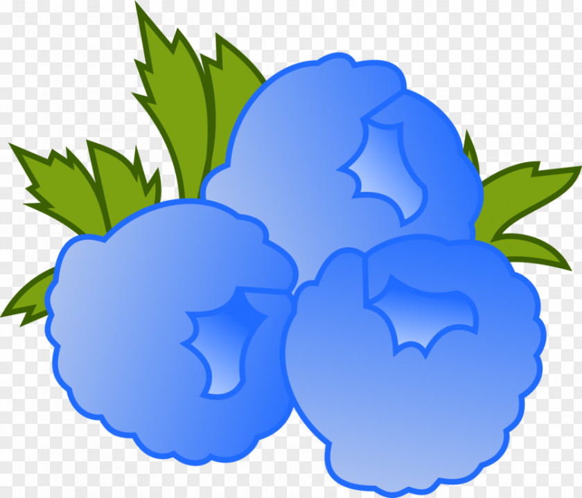 Blueberry Blue Raspberry Flavor Clip Art PNG