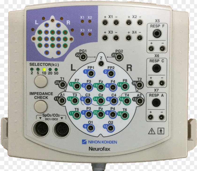 Brain Electroencephalography Nihon Kohden Medicine System PNG