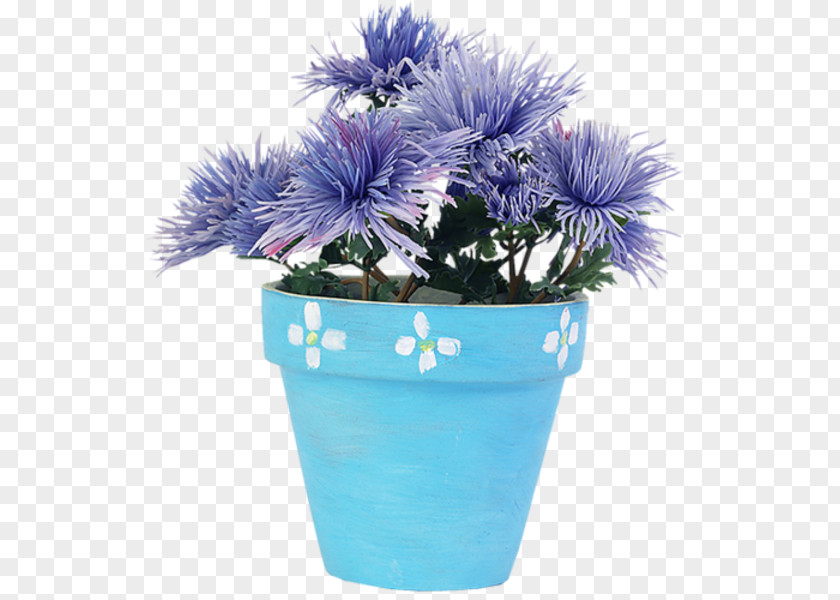 Chrysanthemum Blue Cut Flowers Floristry PNG