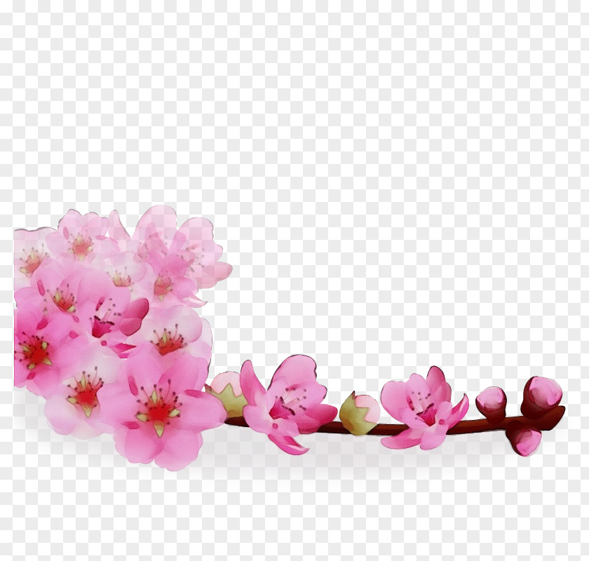 Fashion Accessory Cut Flowers Cherry Blossom PNG