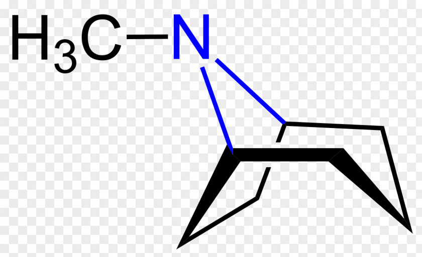 Formular Cocaine Chemistry Erythroxylum Coca Chemical Substance Alkaloid PNG