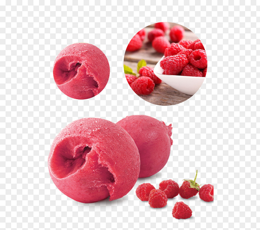 Tôn Thất ThiệpIce Cream Gelato Sorbet Frozen Yogurt Fanny Ice PNG