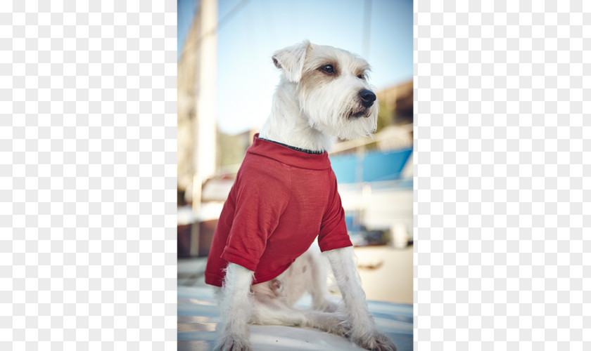 Dog Breed Companion Clothes Snout PNG