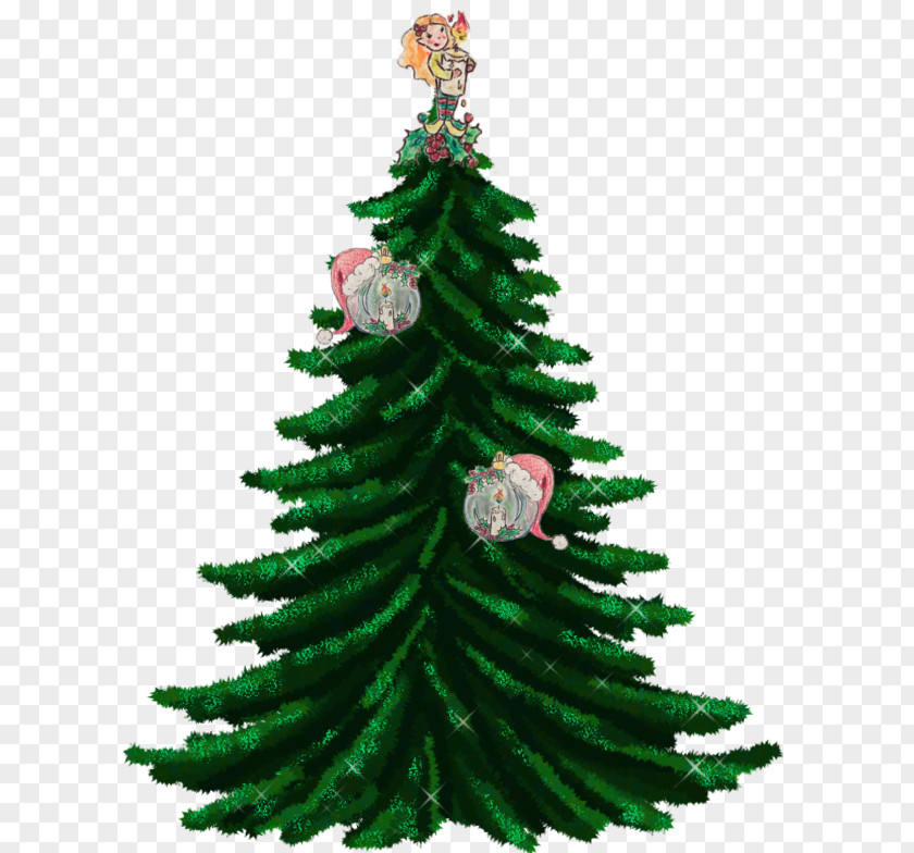 Haha Christmas Tree Fir Garland Guirlande De Noël PNG