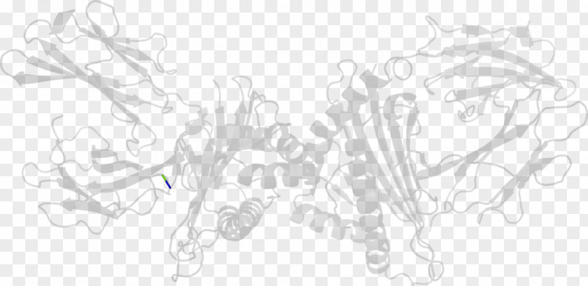 Beta2 Microglobulin Drawing Line Art Sketch PNG
