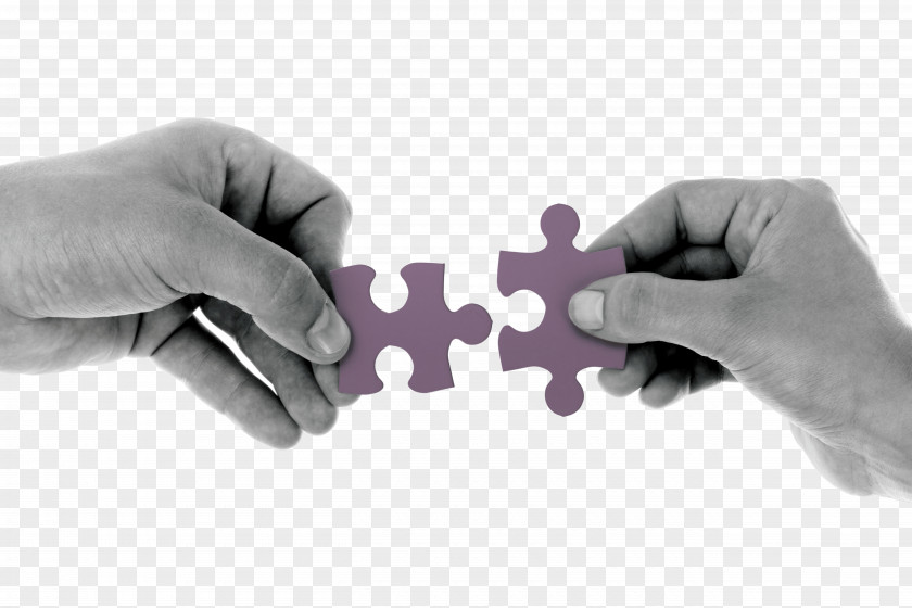 Business Partnership Partner Organization Management PNG