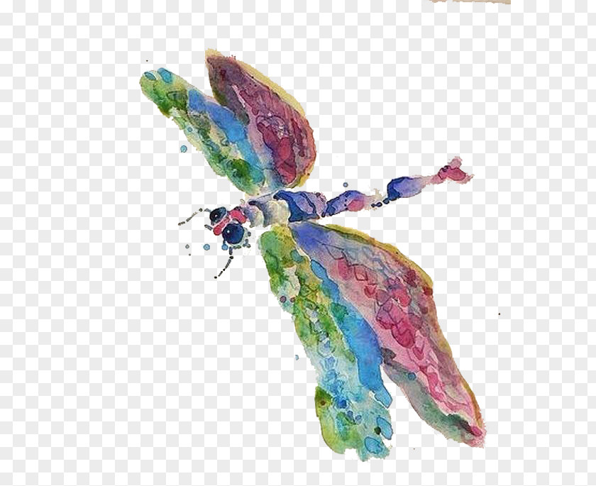 Color Watermark Dragonfly Watercolor Painting Animal Tencent QQ Avatar Illustration PNG