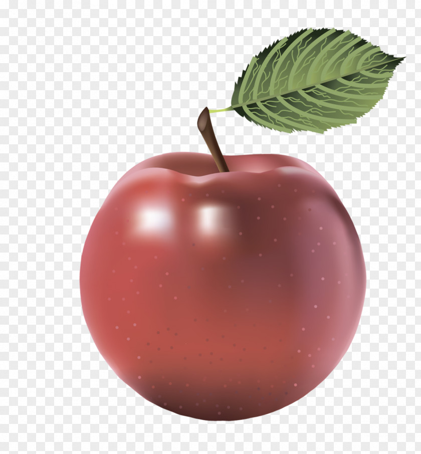 Picture Apple Fruit Clip Art PNG