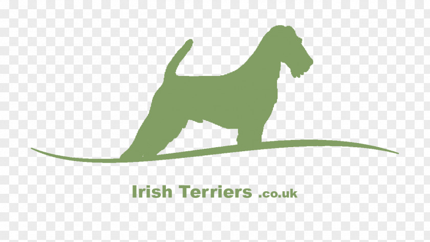 Puppy Dog Breed Irish Terrier PNG