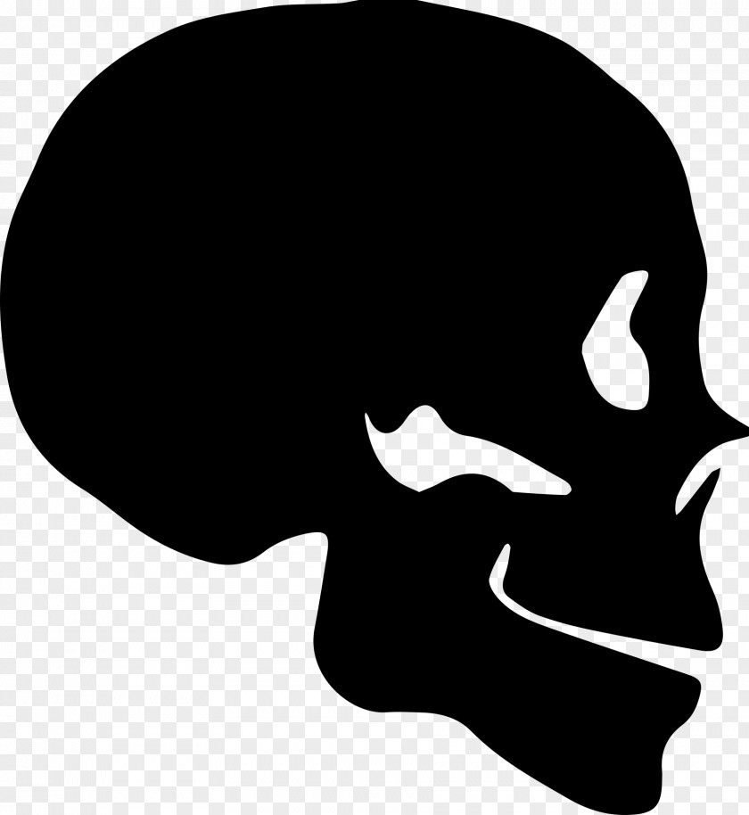 Skull YouTube Silhouette PNG