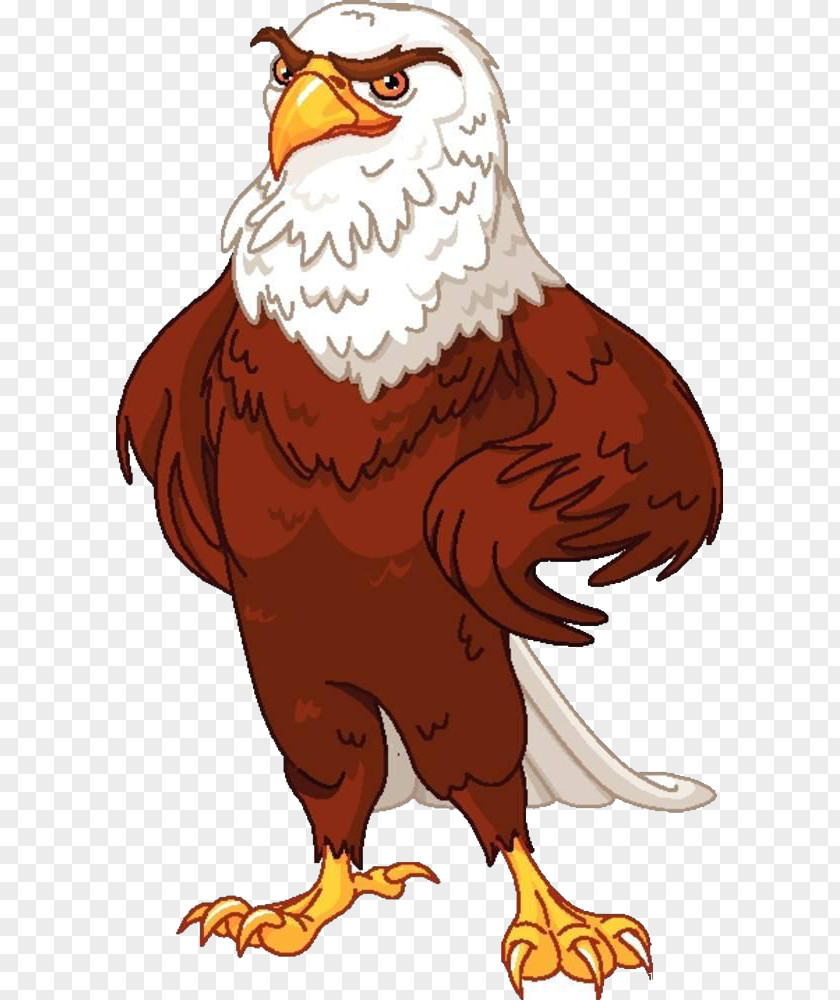 Stand The Bald Eagle Royalty-free Clip Art PNG